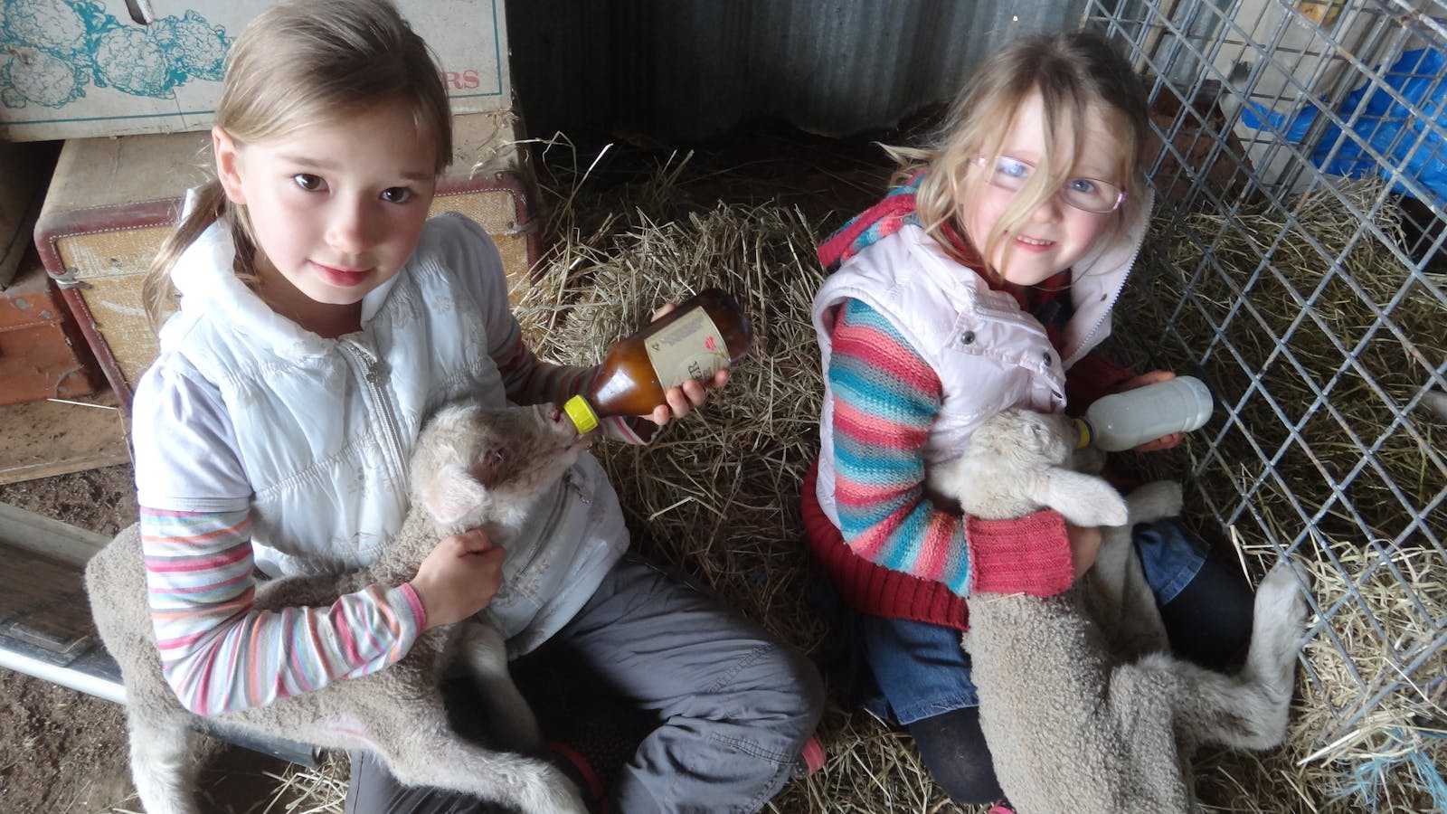 Bathurst Farm Experience