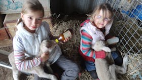 Bathurst Farm Experience