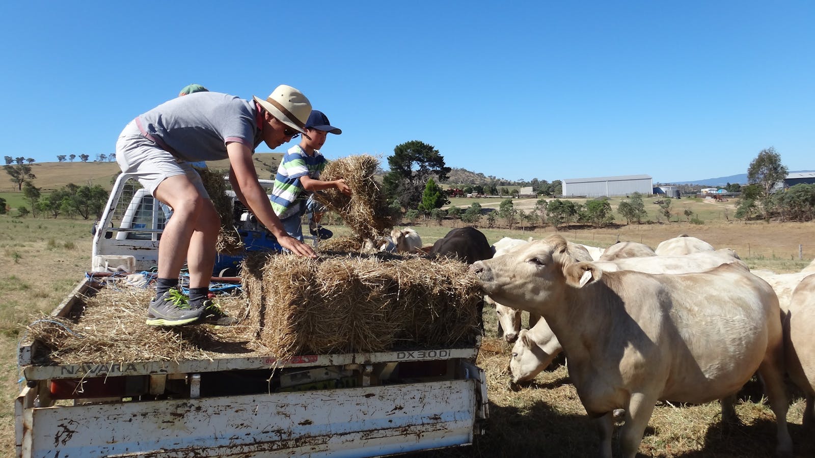 Bathurst Farm Experience