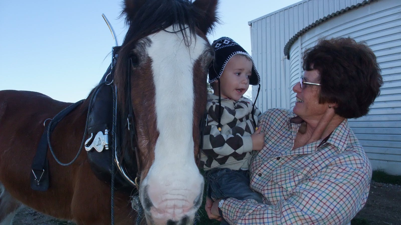 Bathurst Farm Experience