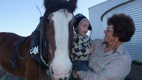 Bathurst Farm Experience