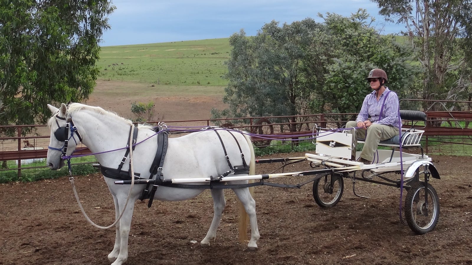 Bathurst Farm Experience