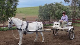 Bathurst Farm Experience