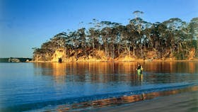 Batemans Marine Park and Sanctuary