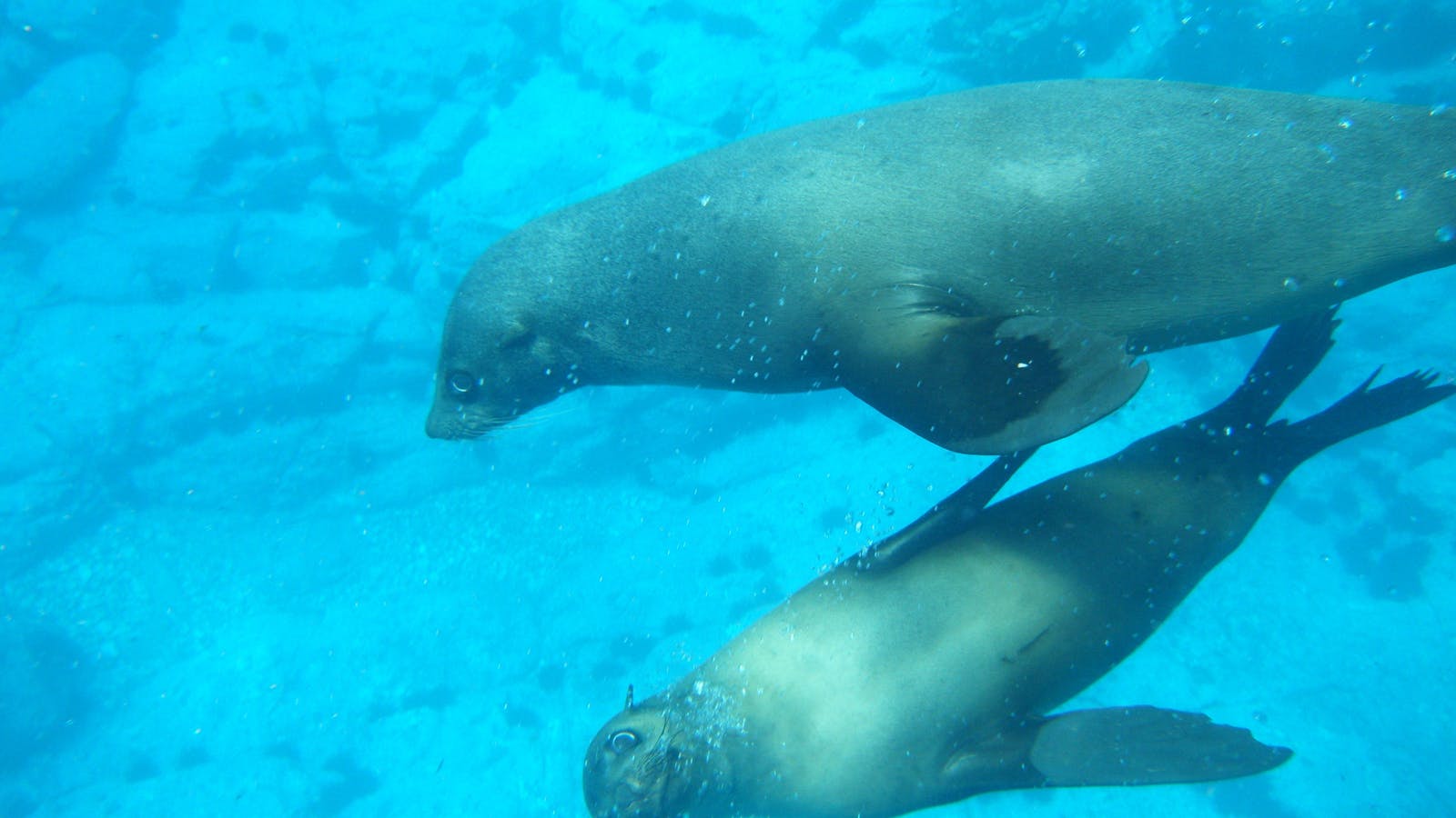 Batemans Marine Park and Sanctuary