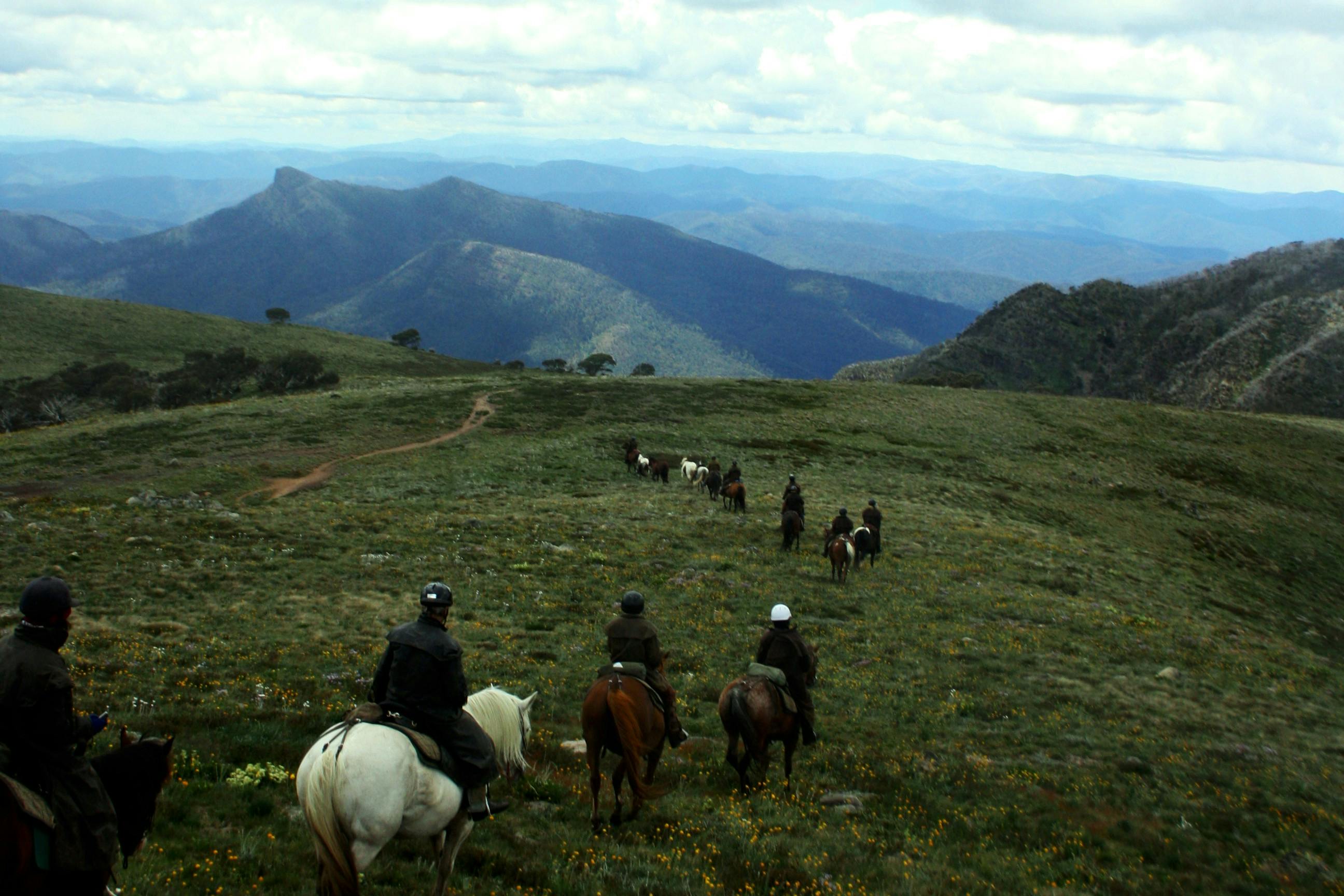 McCormack's Mountain Valley Trail Rides