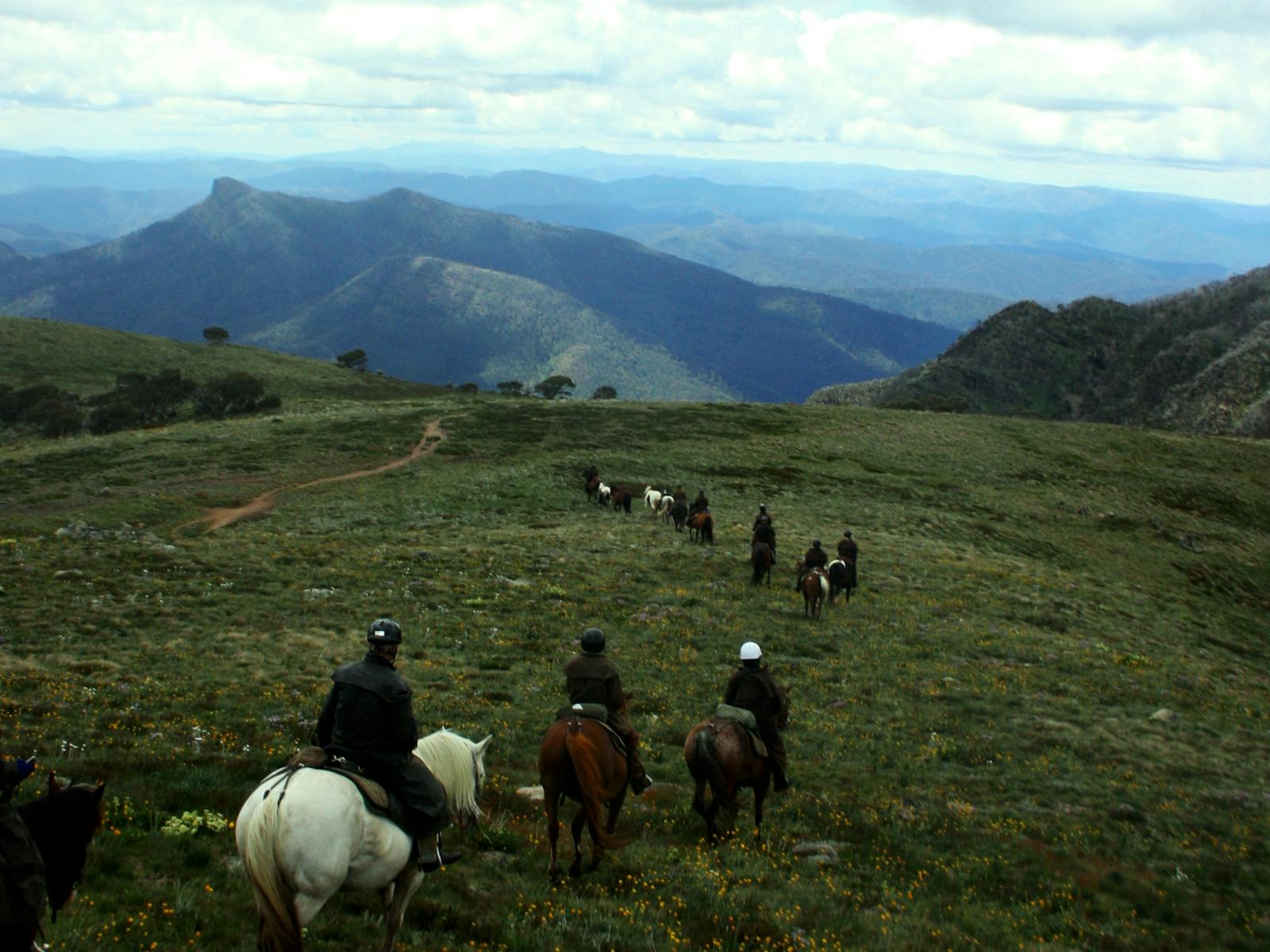 McCormack's Mountain Valley Trail Rides