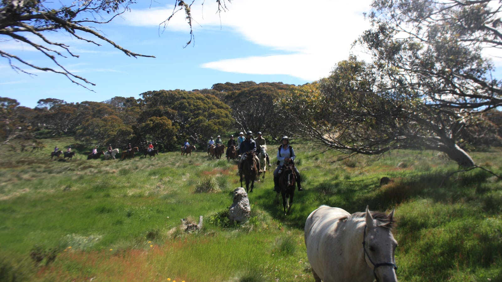 McCormack's Mountain Valley Trail Rides