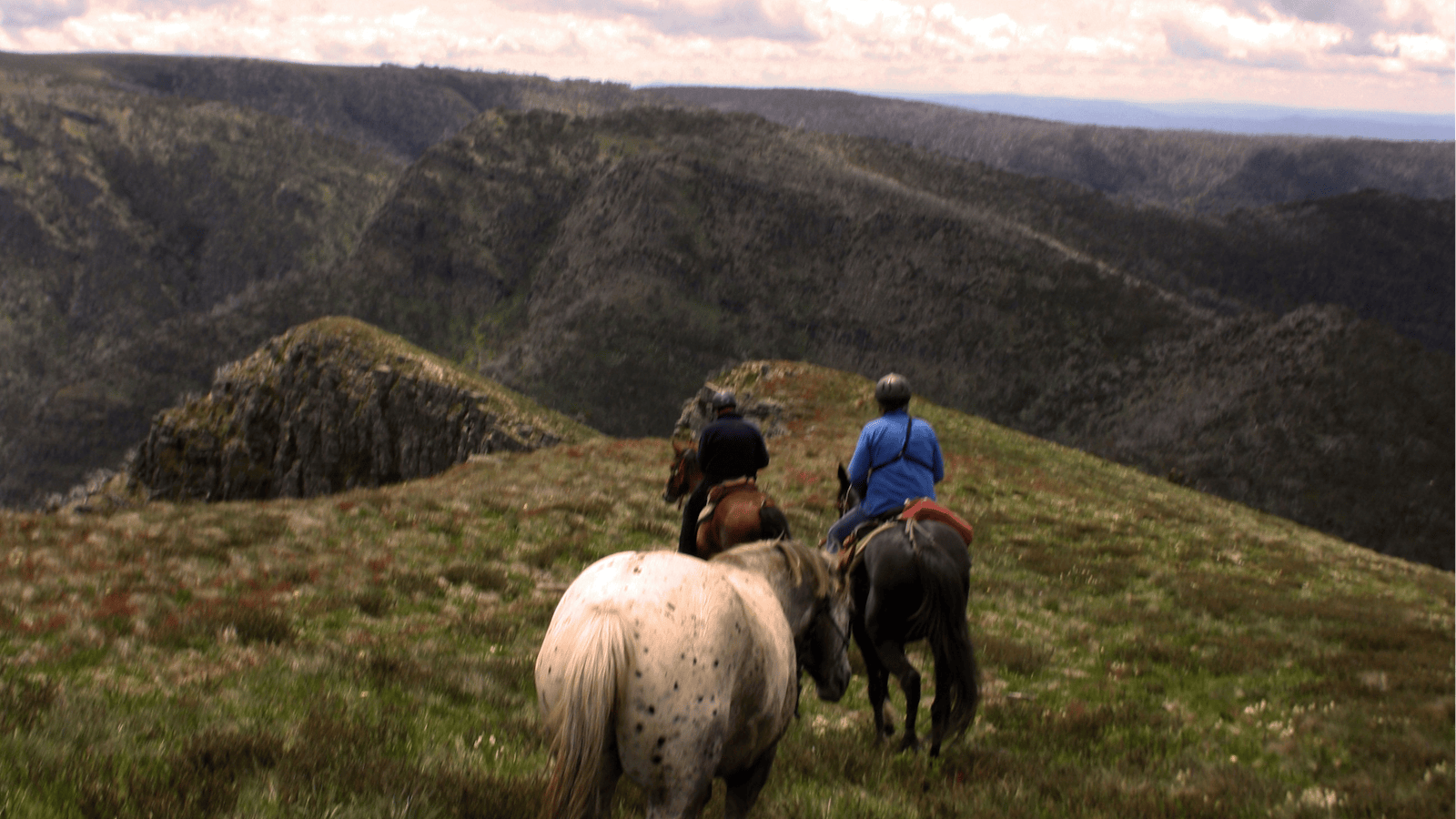 McCormack's Mountain Valley Trail Rides