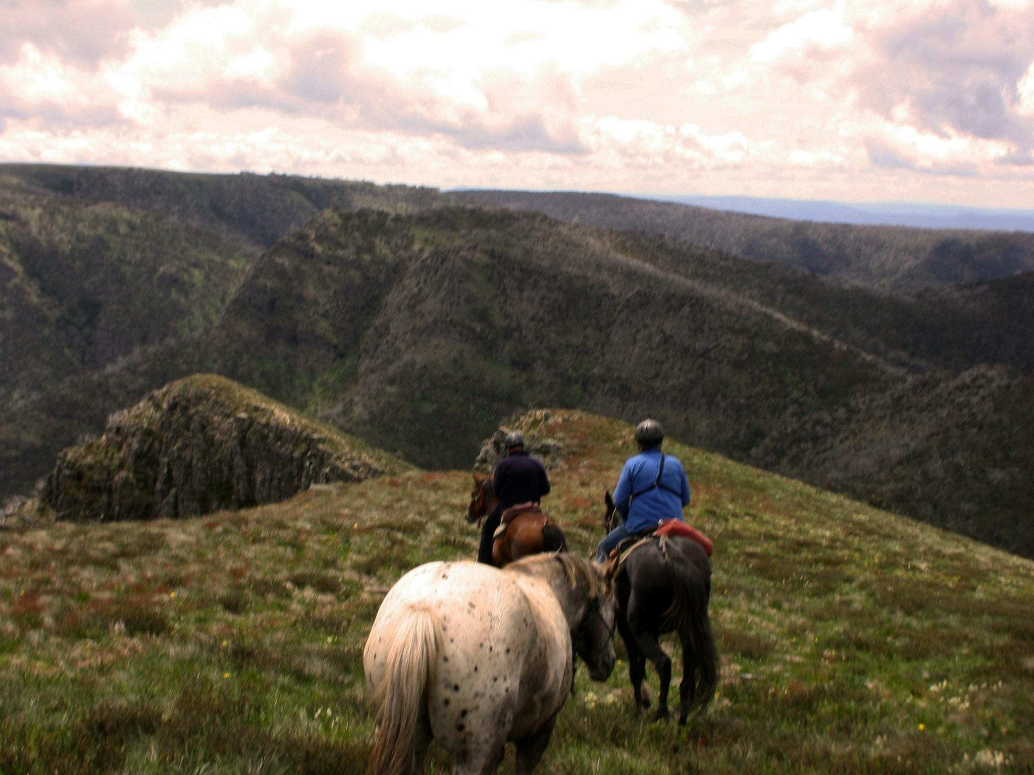 Horse and Valley Views