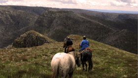 Horse and Valley Views