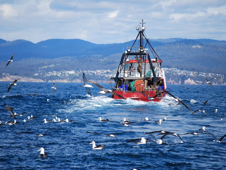 The Imlay trawler returning to Snug Cove