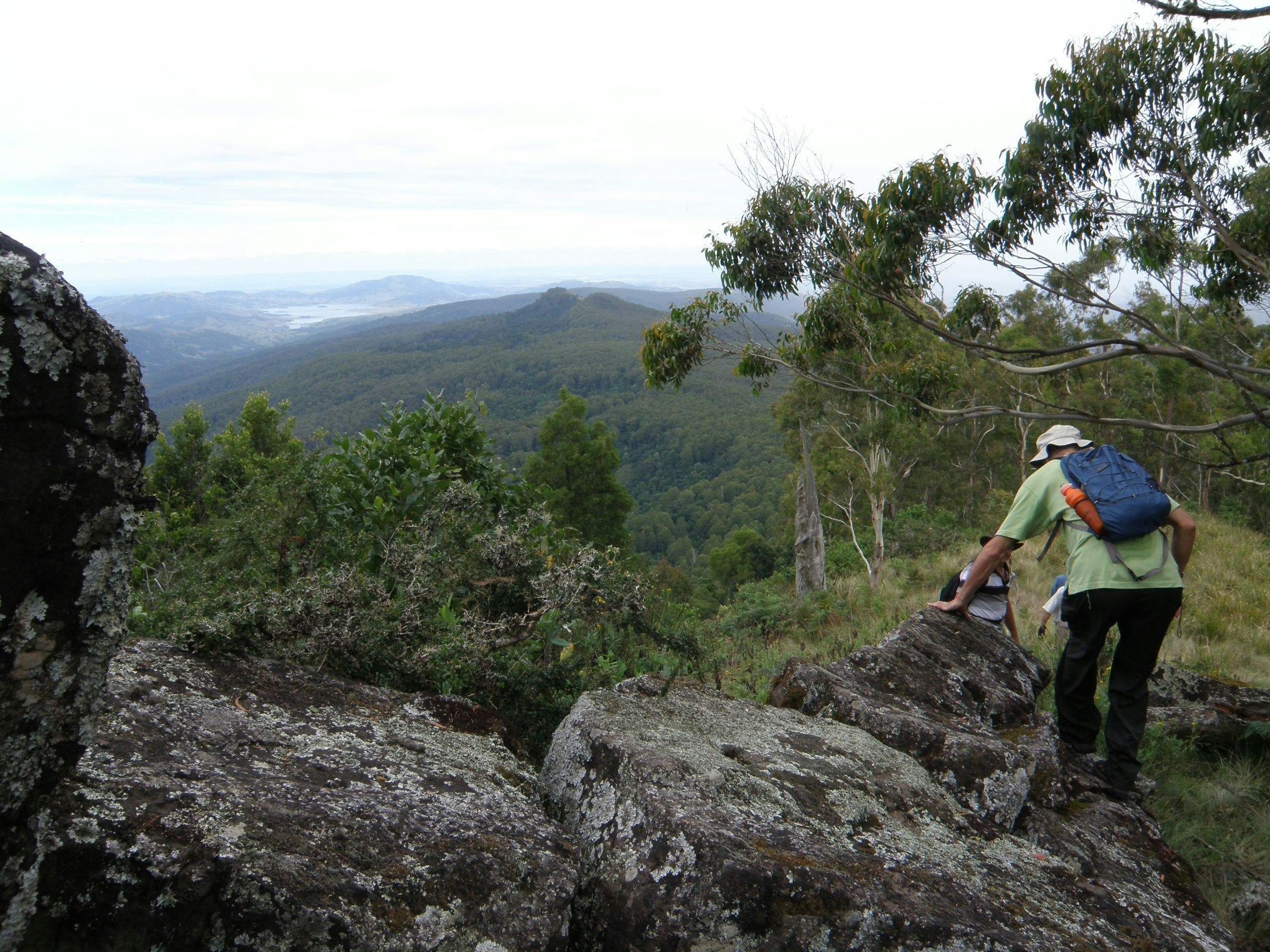 マウントロイヤルを歩く