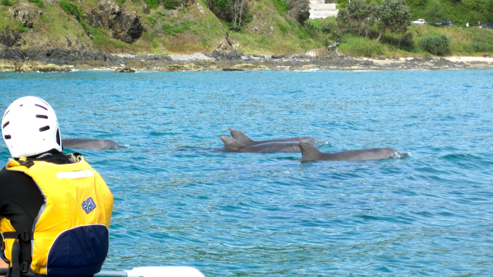 Go Sea Kayak Byron Bay