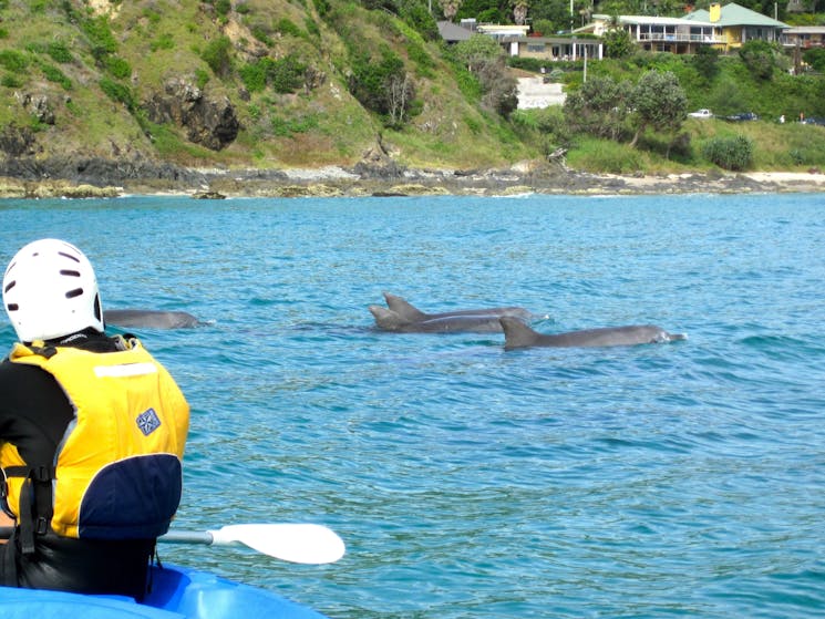 Go Sea Kayak Byron Bay