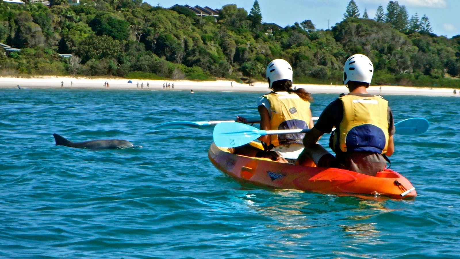 Go Sea Kayak Byron Bay