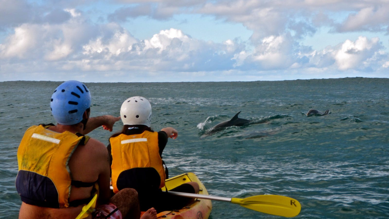 Go Sea Kayak Byron Bay