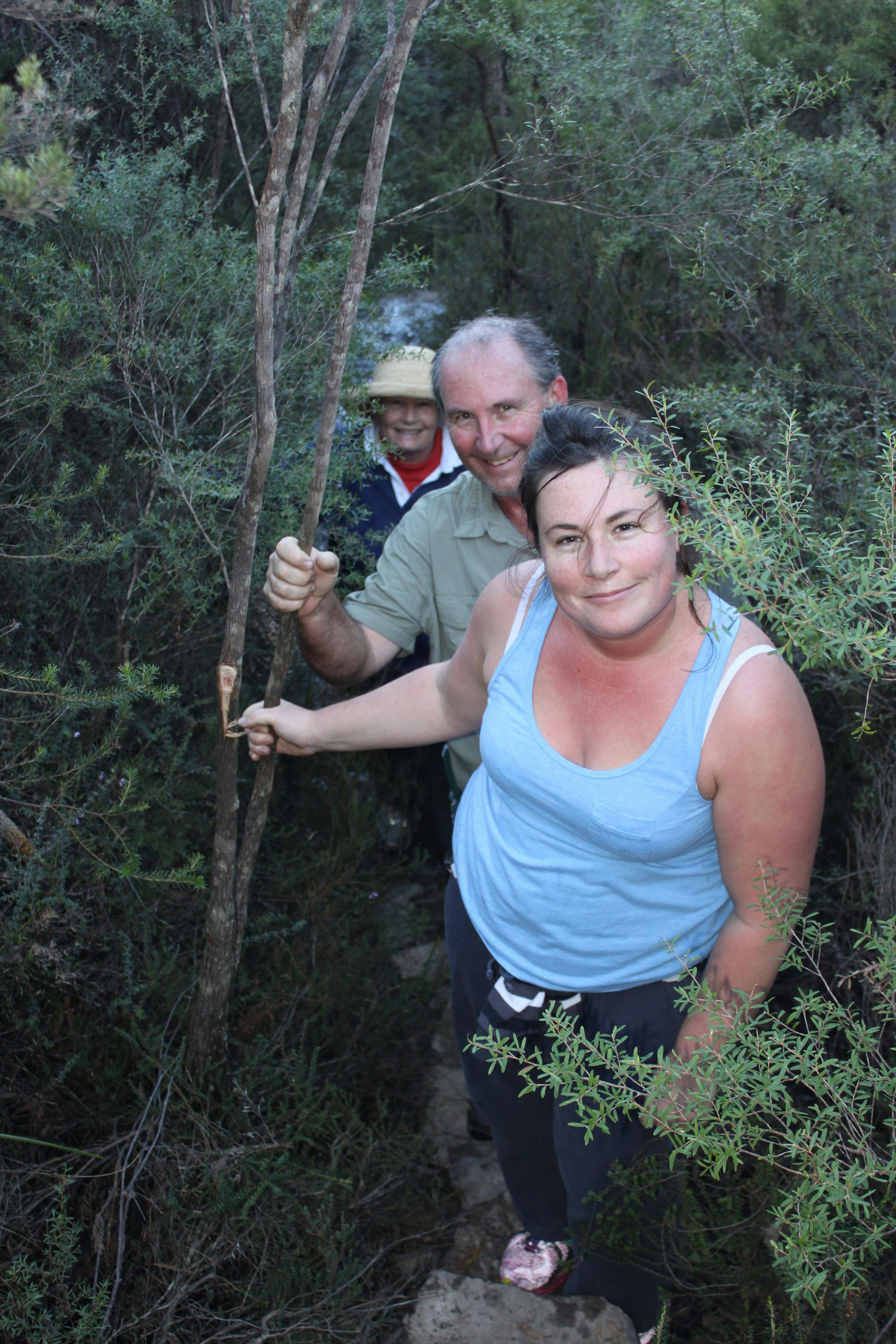 Bushwalking Tour Blue Mountains