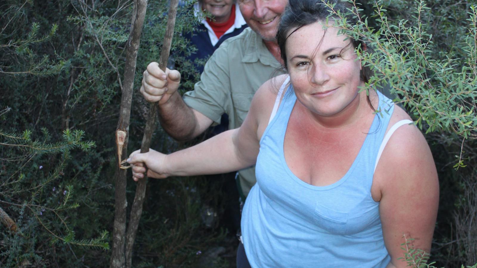 Bushwalking Tour Blue Mountains