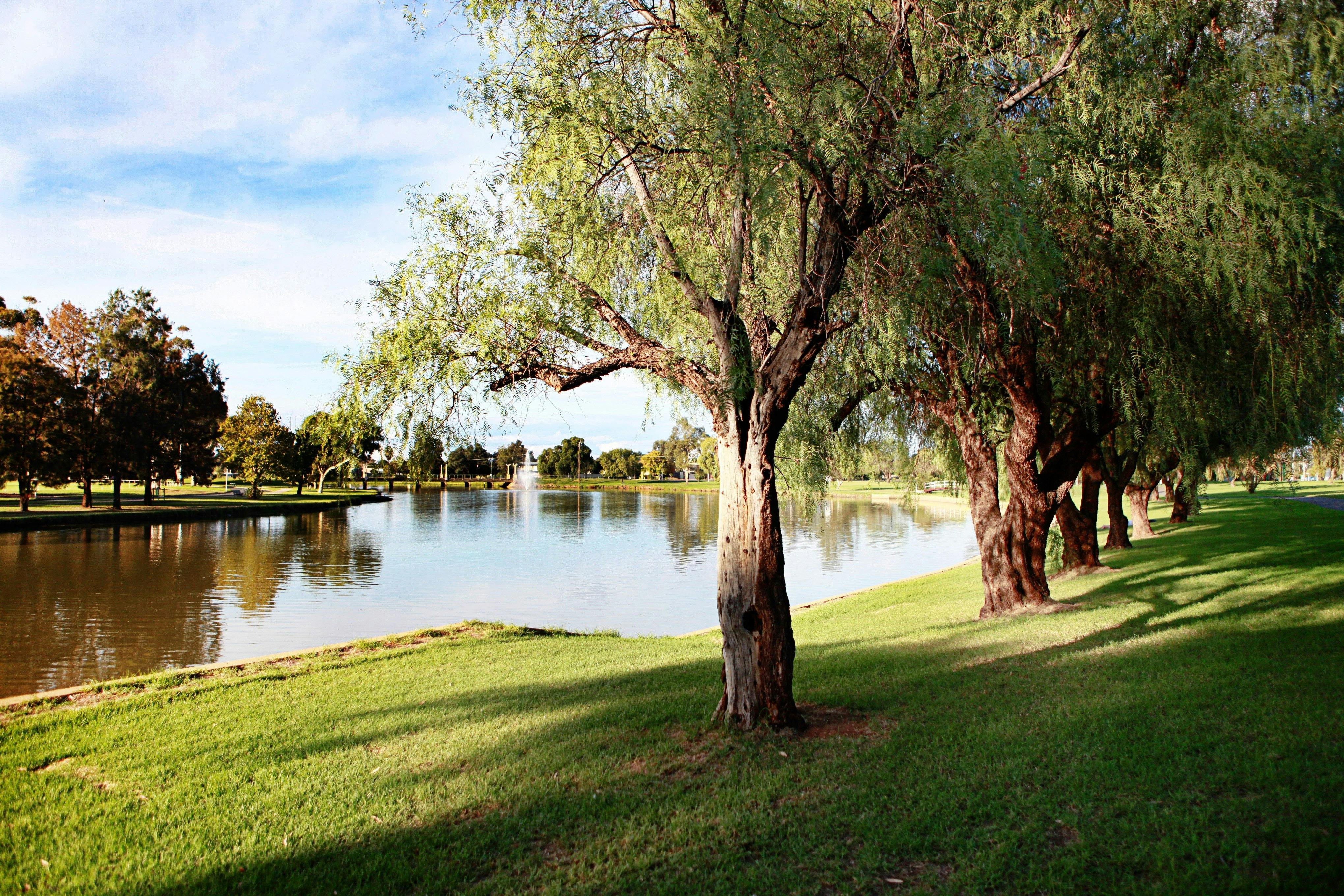 Lake Forbes | NSW Holidays & Accommodation, Things To Do, Attractions ...