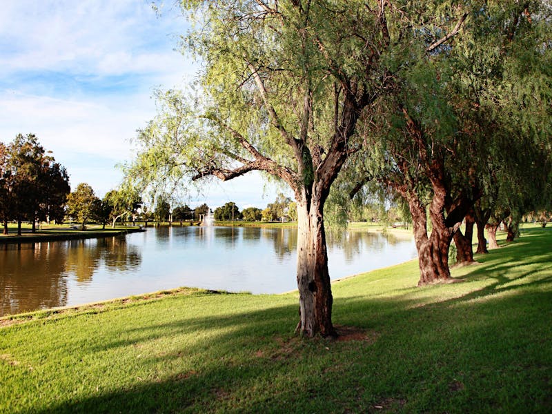 tourist attractions in forbes nsw