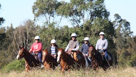 Horses at Sydney Trail Riding Centre