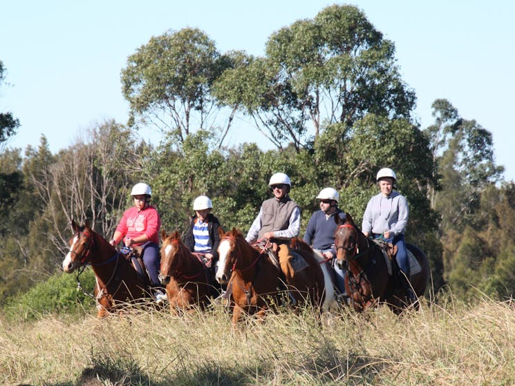 Horses at Sydney Trail Riding Centre