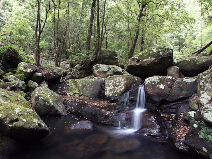 Water rushing over mossy rocks at Kangaroo River with bushland in the background