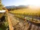 Feathertop
