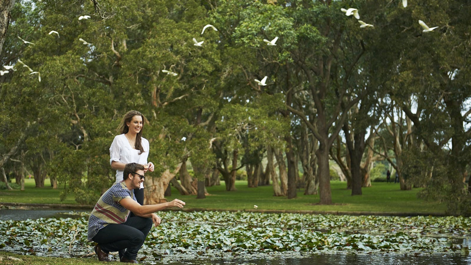 Centennial Parklands