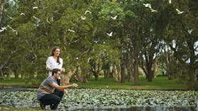 Centennial Parklands