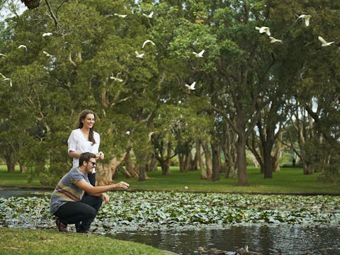 Centennial Parklands