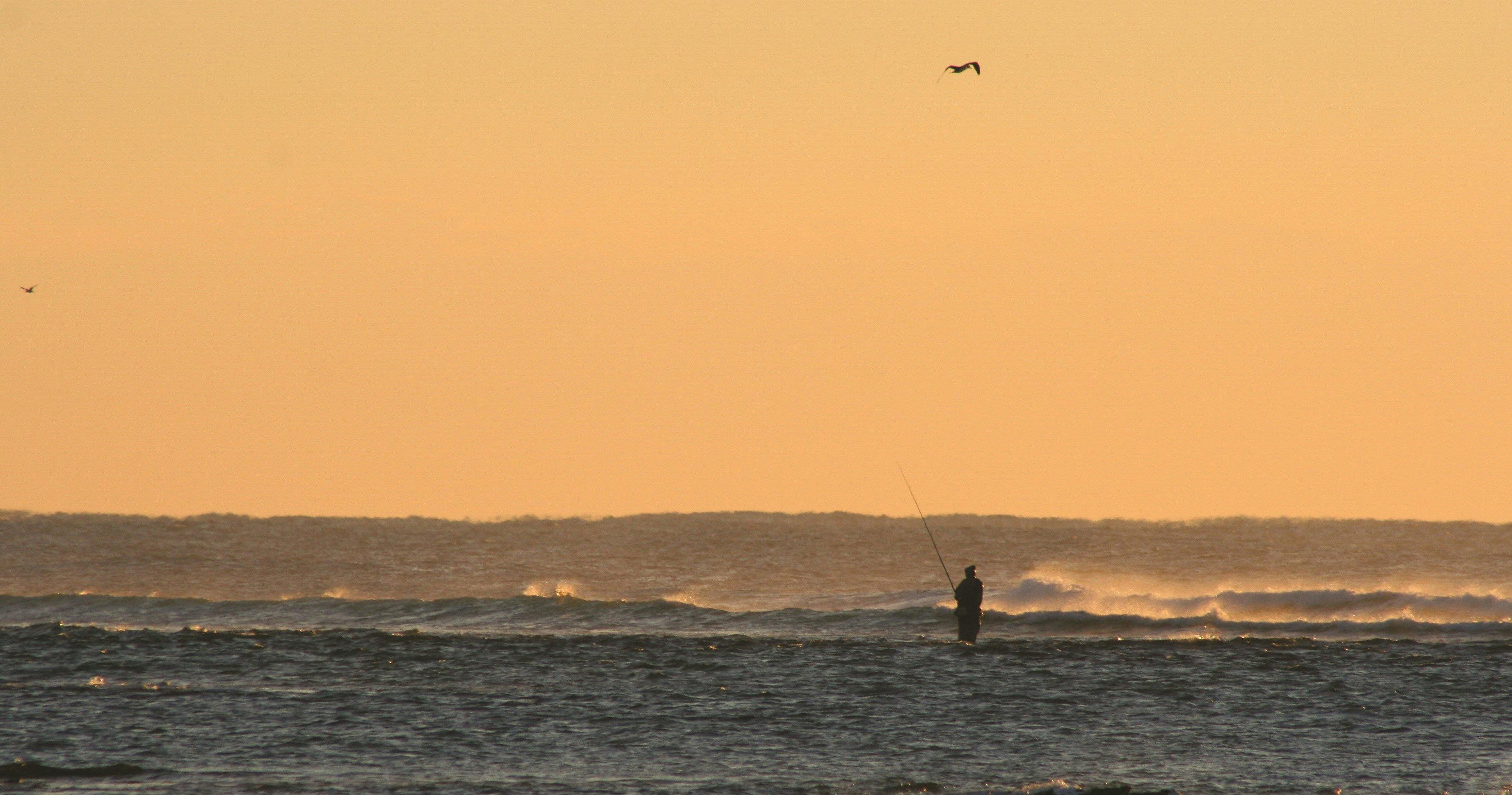 Fisherman at Brooms Head