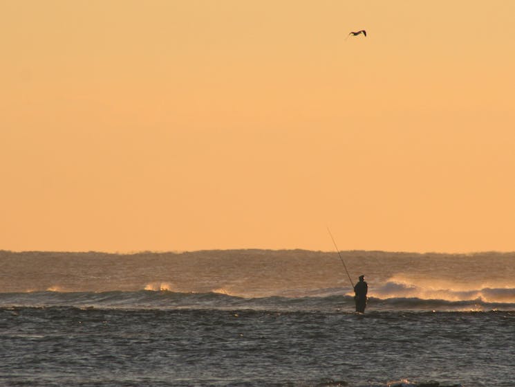 Fisherman at Brooms Head