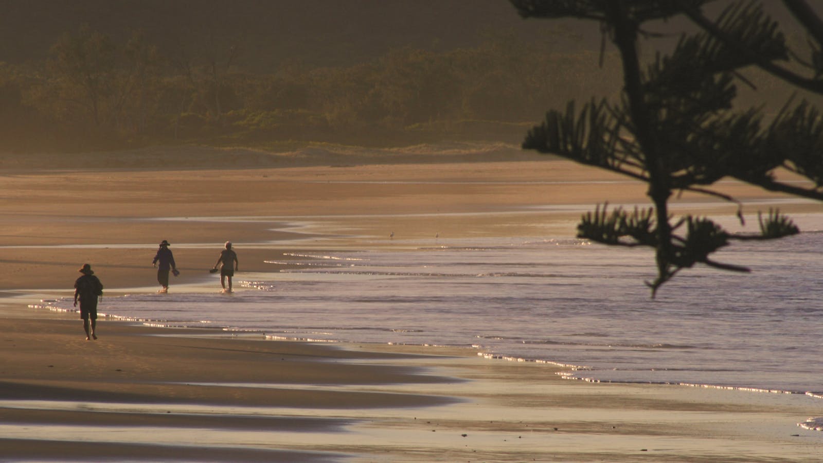 Brooms Head Main Beach