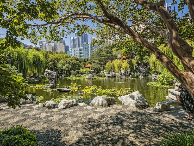 View across the Lake of Brightness