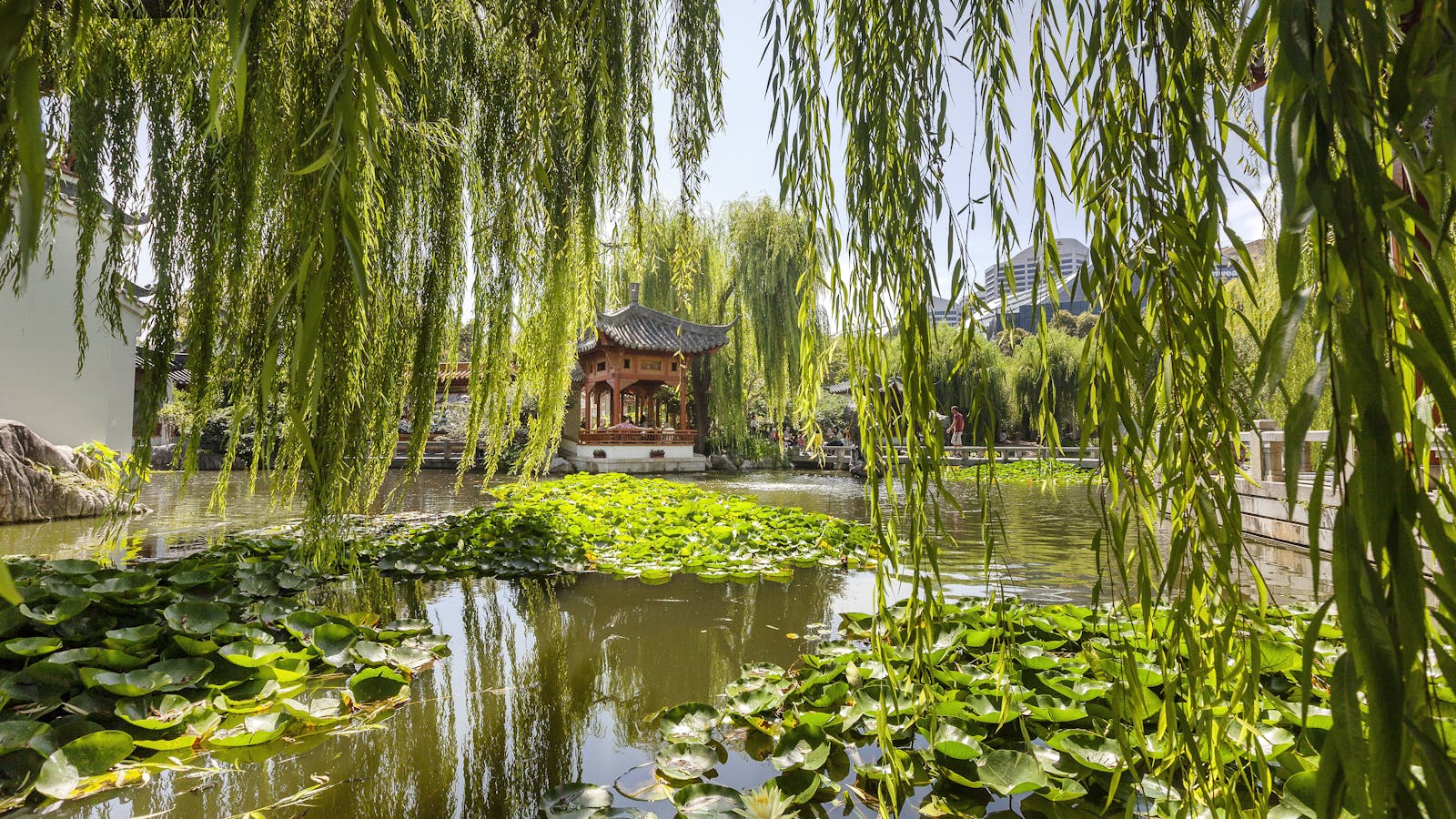 Chinese Garden of Friendship