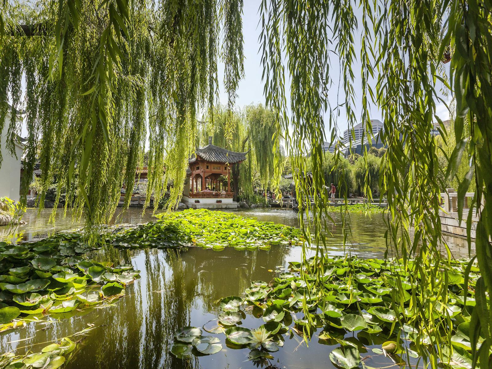 The Lake of Brightness