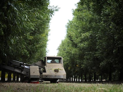 Trawalla Pecan Nut Farm Tour