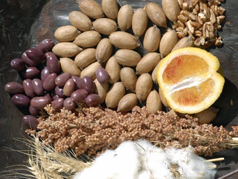 Cotton Farm and Gin Tour