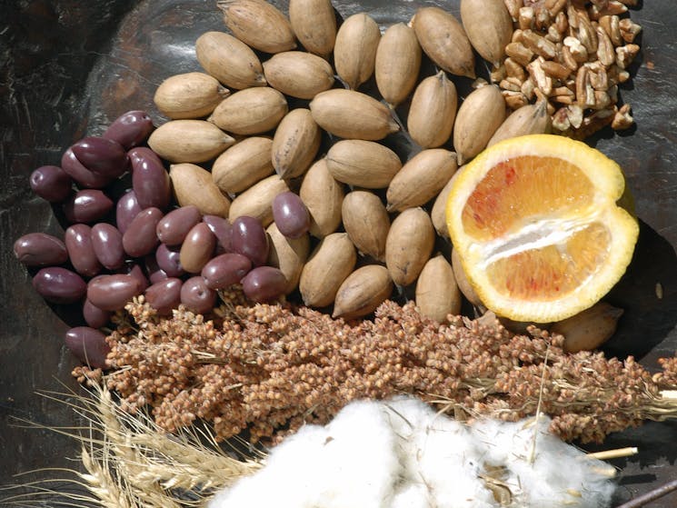 Cotton Farm and Gin Tour NSW Holidays & Things to Do