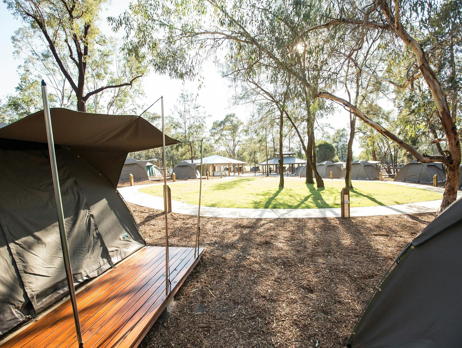Billabong Camp，塔龍加西部平原動物園，達博