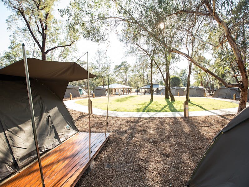 Billabong Camp, Taronga Western Plains Zoo, Dubbo | NSW ...
