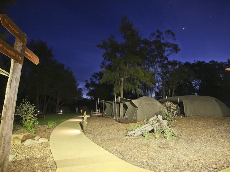 Under the stars at Billabong Camp, Taronga Western Plains Zoo, Dubbo