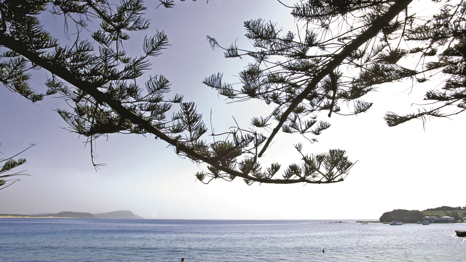 Terrigal Beach