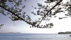 Terrigal Beach
