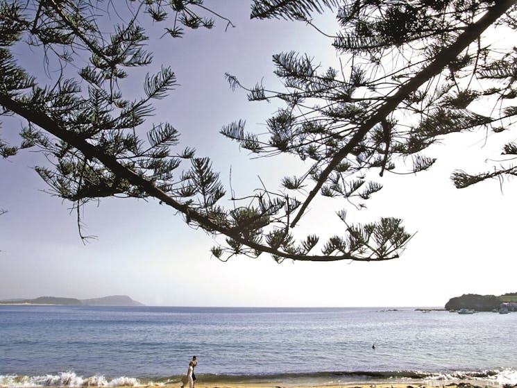 Terrigal Beach
