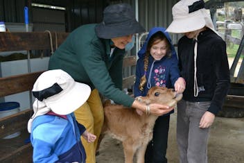 Yarralong BnB and Farm Stay