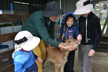 Young guests experiencing the joy of raising a poddy.