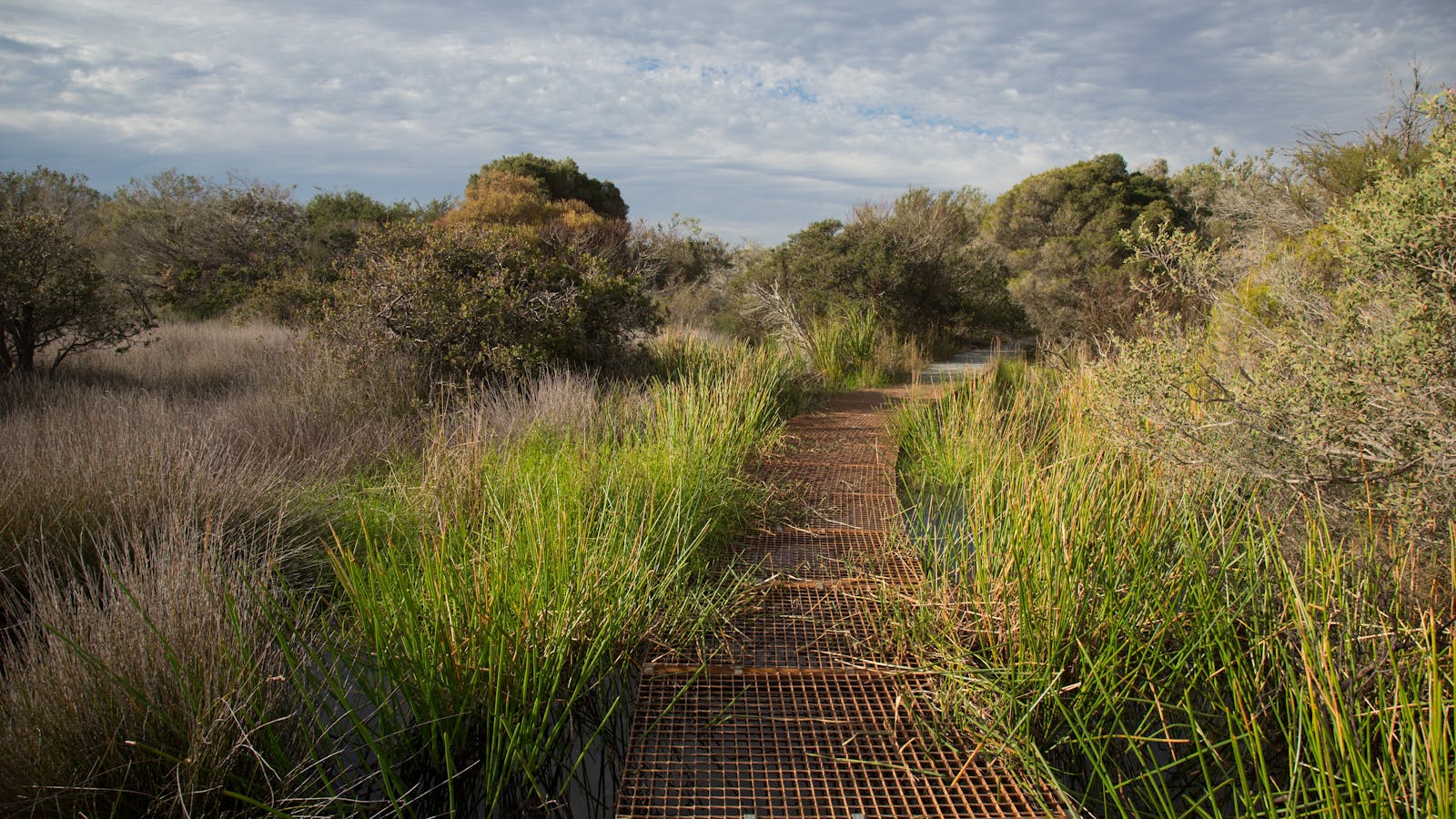 North Head Sanctuary